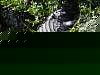 14.01.EvergladesDSC02683.jpg